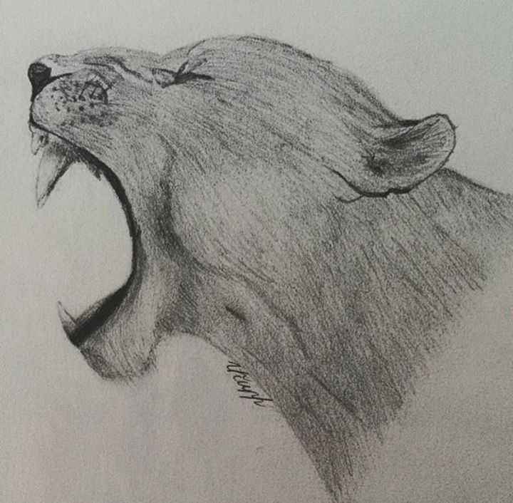 Roaring Lioness, Drawing by Avkn | Artmajeur