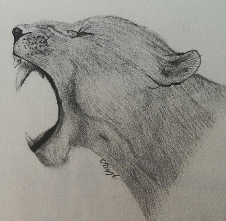 Dessin intitulée "Roaring lioness" par Avkn, Œuvre d'art originale, Crayon