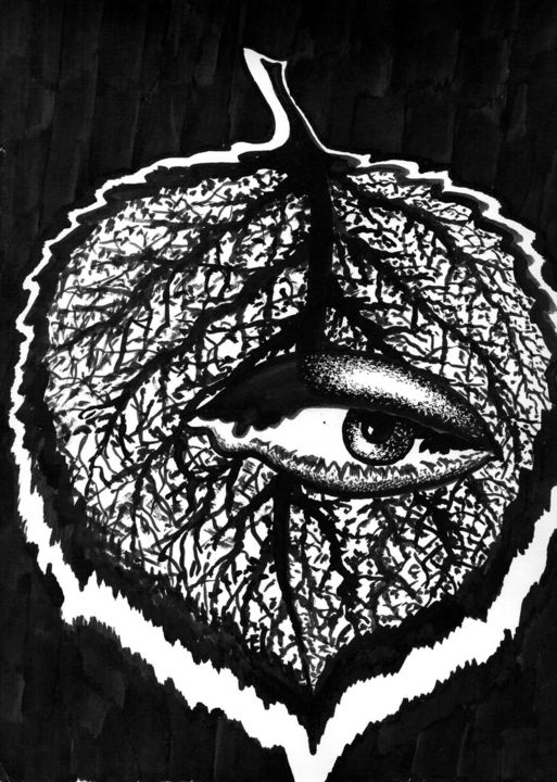 Drawing titled "Tree Leaf. Лист" by Vladimir Abaimov, Original Artwork, Ink