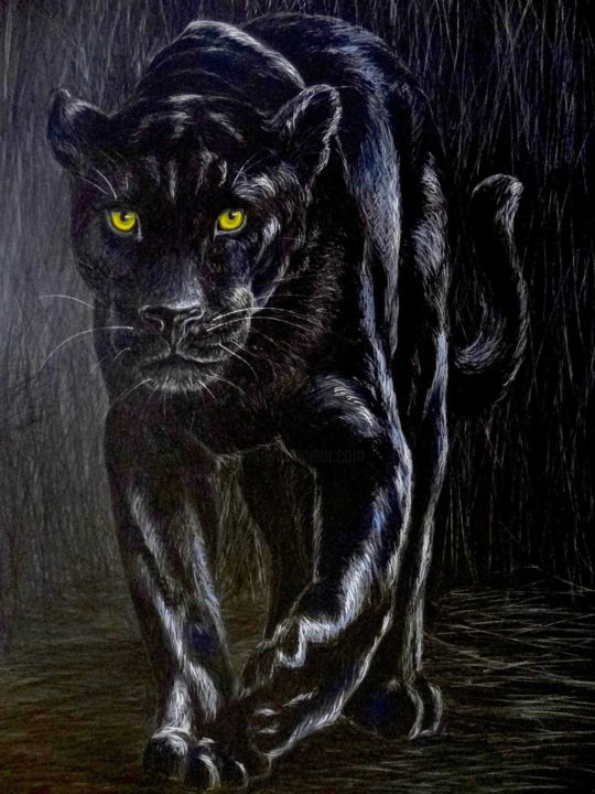 Drawing titled "Black panther" by Axelle Costerousse, Original Artwork