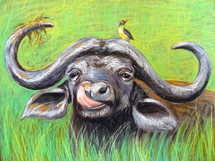 Drawing titled "Buffalo" by Axelle Costerousse, Original Artwork