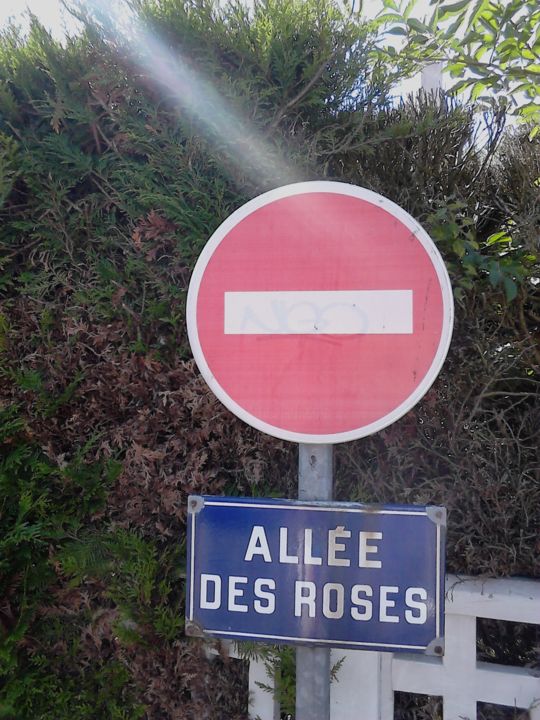 Arte digitale intitolato "Allée des roses" da Axelle Perrève, Opera d'arte originale