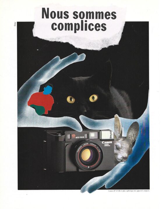 Collages titled "Nous sommes complic…" by Axelle Ravache, Original Artwork, Collages