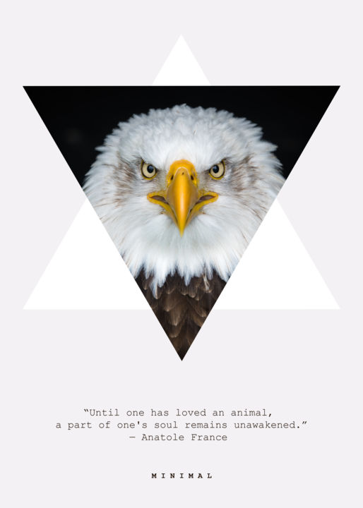 Digital Arts titled "Eagle" by Ayberk Yıldırım, Original Artwork