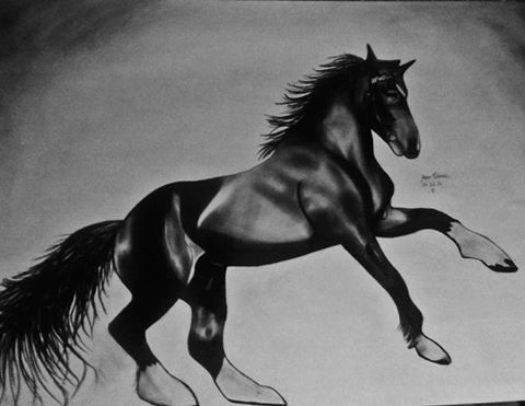 "horse.jpg" başlıklı Resim Ayça Yılmaz tarafından, Orijinal sanat, Karakalem