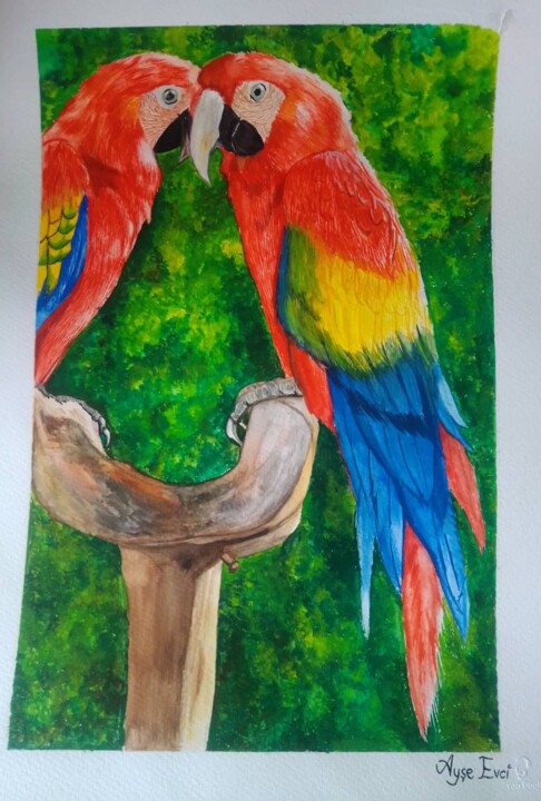 Pintura intitulada "Papağanlar" por Ayşe Evci̇, Obras de arte originais, Aquarela