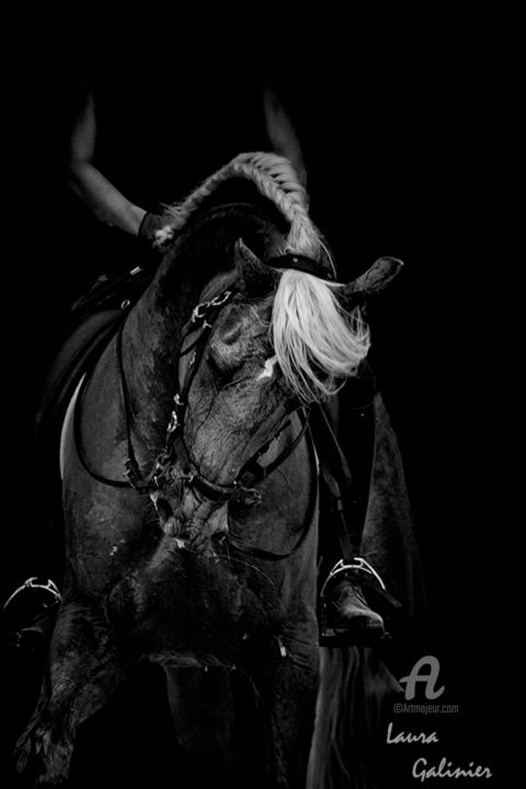 「Horses 1」というタイトルの写真撮影 Laura Galinier (Azalé Photo)によって, オリジナルのアートワーク