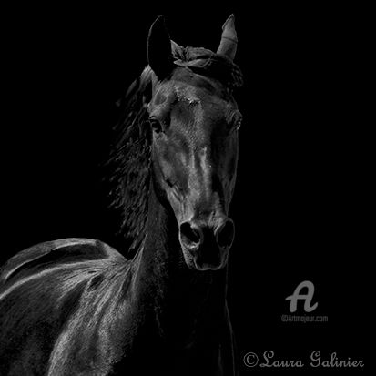 Photography titled "Horses 3" by Laura Galinier (Azalé Photo), Original Artwork