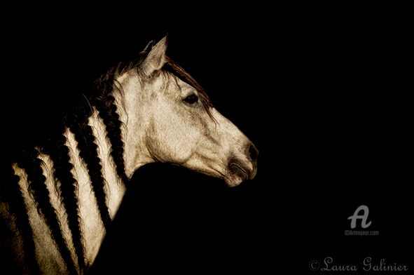 Photography titled "Horses 5" by Laura Galinier (Azalé Photo), Original Artwork