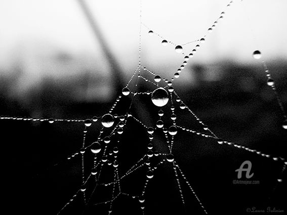 Photography titled "Après la pluie 5" by Laura Galinier (Azalé Photo), Original Artwork