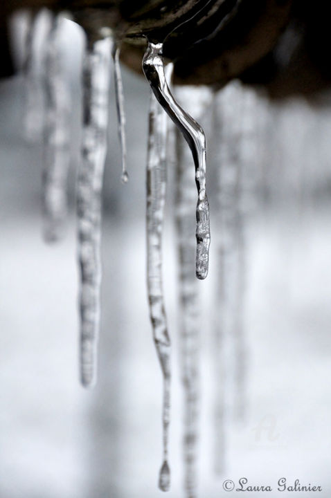 「Sculpture d'hiver」というタイトルの写真撮影 Laura Galinier (Azalé Photo)によって, オリジナルのアートワーク