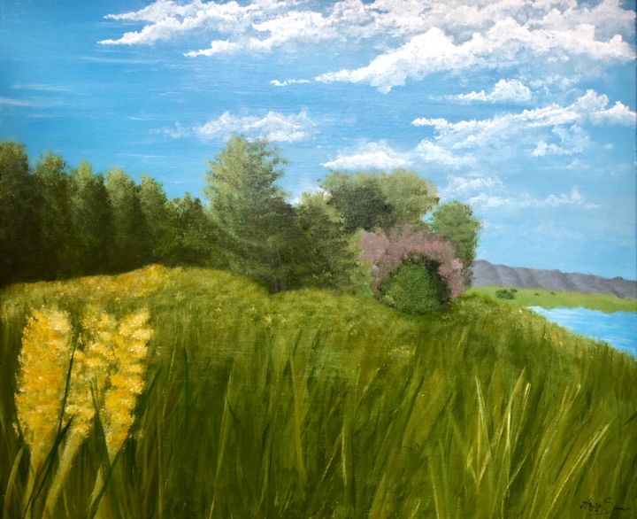 Pintura titulada "Douce Prairie" por Aziza Siankam, Obra de arte original, Acrílico