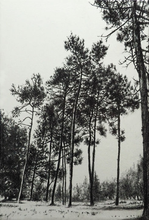 Tekening getiteld "Les pins de mimizan." door B. Alexis, Origineel Kunstwerk, Krijt