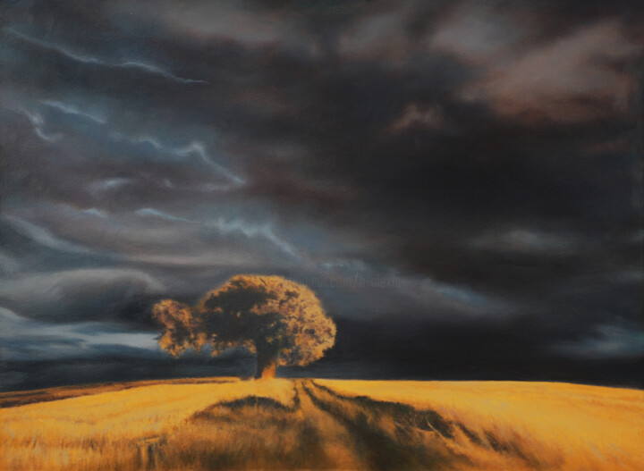 Peinture intitulée "Le champs de blé so…" par B. Alexis, Œuvre d'art originale, Huile
