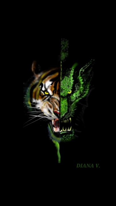 Тигр/Дракон, Рисунок - B. Bagira