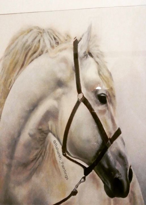 Painting titled "True White horse" by Bahareh Marandi, Original Artwork, Pastel