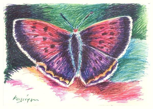 Rysunek zatytułowany „Butterfly colours” autorstwa Κοιλιάρ-Ις, Oryginalna praca, Inny