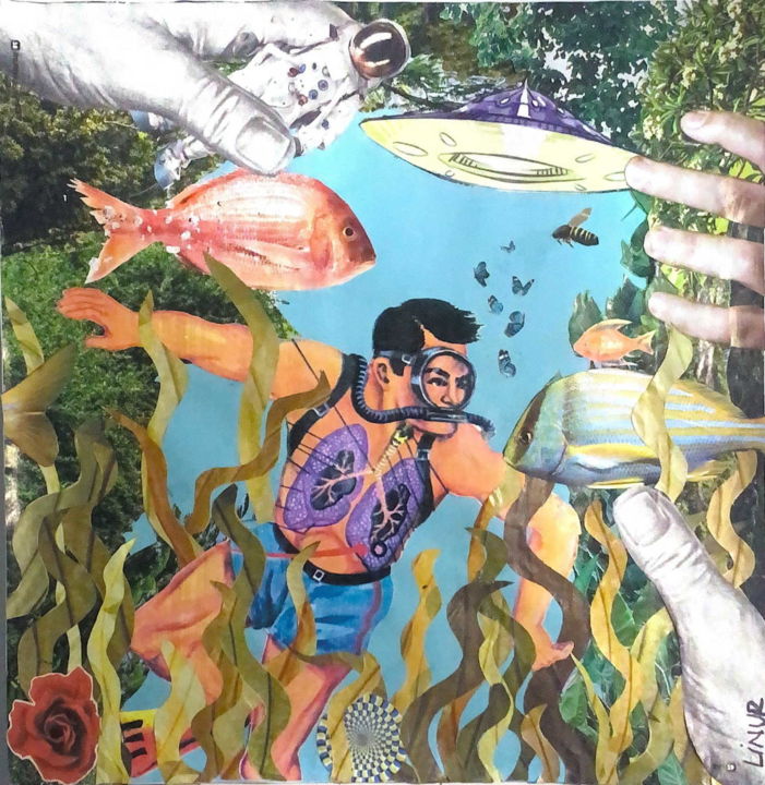 Collages titled "Slow Diver" by Bárbara Bacelar, Original Artwork, Collages