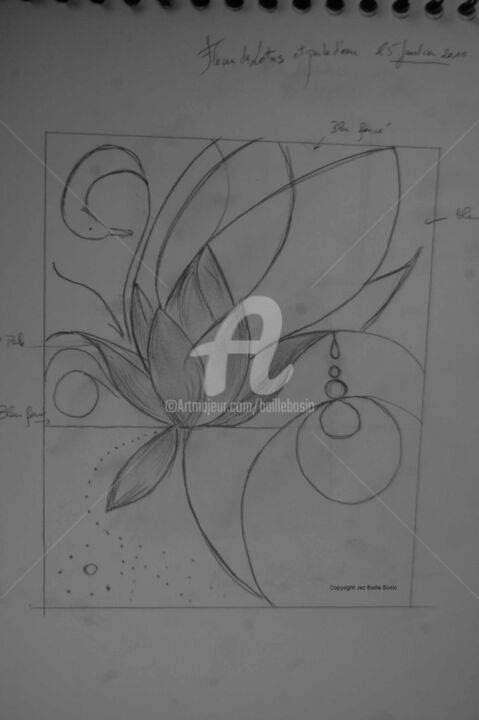Tekening getiteld "Lotus roqui" door Jez Bb, Origineel Kunstwerk, Potlood