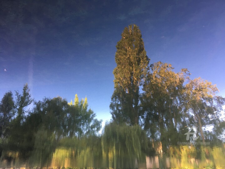 Fotografie mit dem Titel "Blurry trees" von Balagour, Original-Kunstwerk, Digitale Fotografie