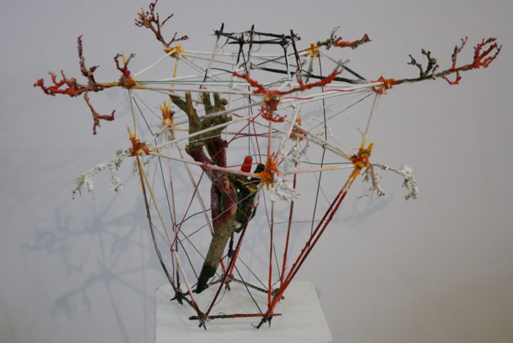 Sculpture intitulée "Canope N°5-2011" par Baptiste Vanweydeveldt, Œuvre d'art originale, Bois