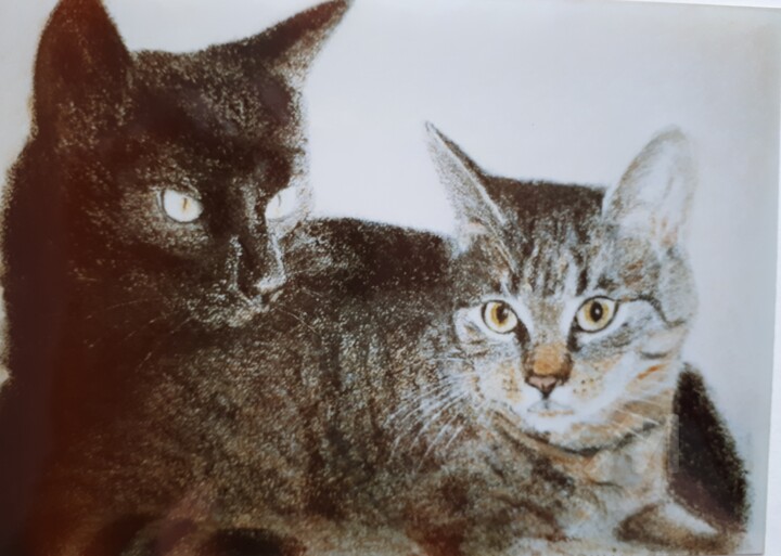 Malerei mit dem Titel "Katzenpärchen" von Barbara Dominé, Original-Kunstwerk, Pastell