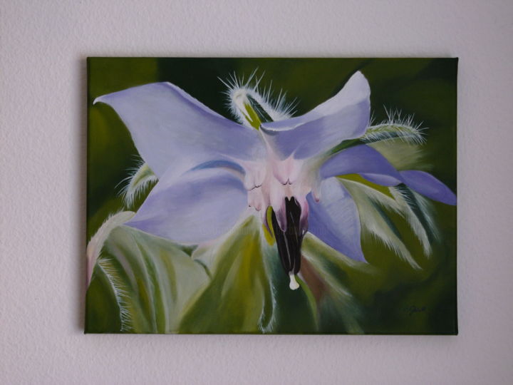 Painting titled "Boretschblüte" by B. Gribi, Original Art, Oil