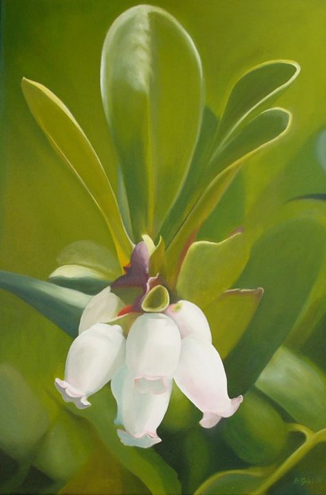 Painting titled "Bärentrauben" by B. Gribi, Original Art, Oil