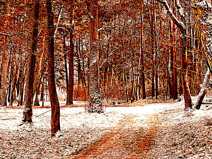 Fotografia zatytułowany „Frost in the forest” autorstwa Barbara Przyborowska, Oryginalna praca, Fotografia cyfrowa