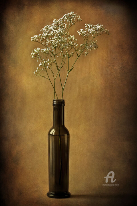 Fotografia intitolato "The olive oil bottle" da Barbara Corvino, Opera d'arte originale, Fotografia digitale