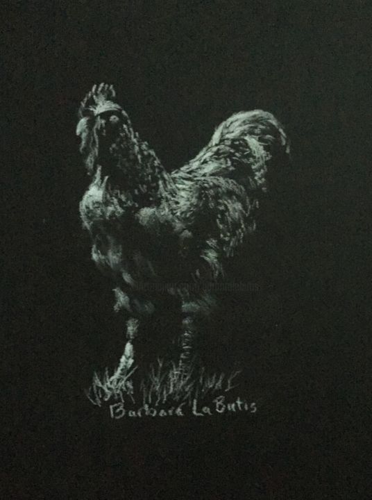 Drawing titled "Rooster" by Barbara Labutis, Original Artwork, Charcoal