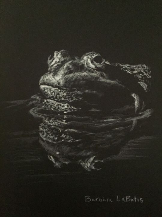 Drawing titled "Frog" by Barbara Labutis, Original Artwork, Charcoal