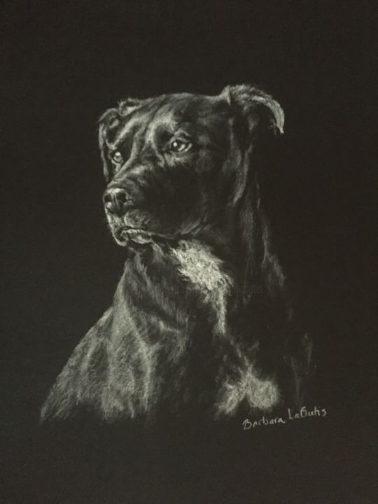 Desenho intitulada "dog" por Barbara Labutis, Obras de arte originais, Carvão