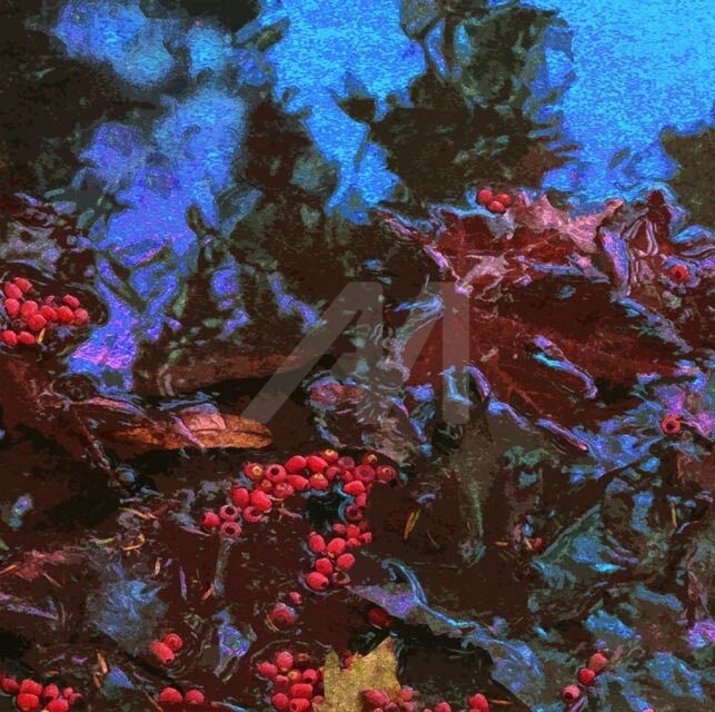 Photographie intitulée "Reflets 02" par Barbu Nitescu, Œuvre d'art originale,