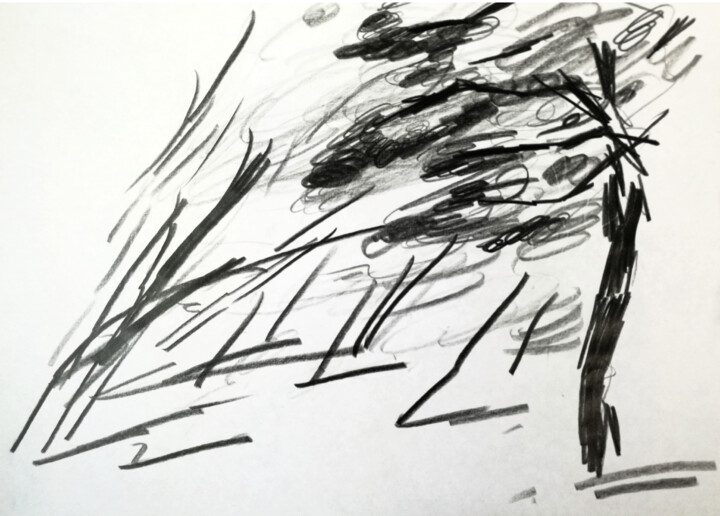 Drawing titled "Forest" by Yuliya Bardun, Original Artwork, Graphite