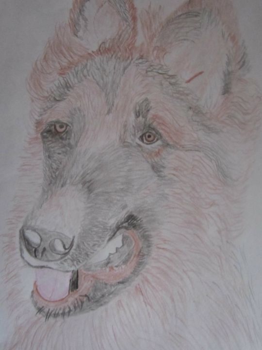Drawing titled "dogredbubble-tee-te…" by Barrington Ricketts, Original Artwork