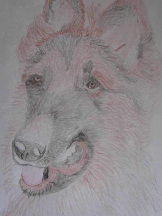 Drawing titled "dogredbubble-tee-te…" by Barrington Ricketts, Original Art,