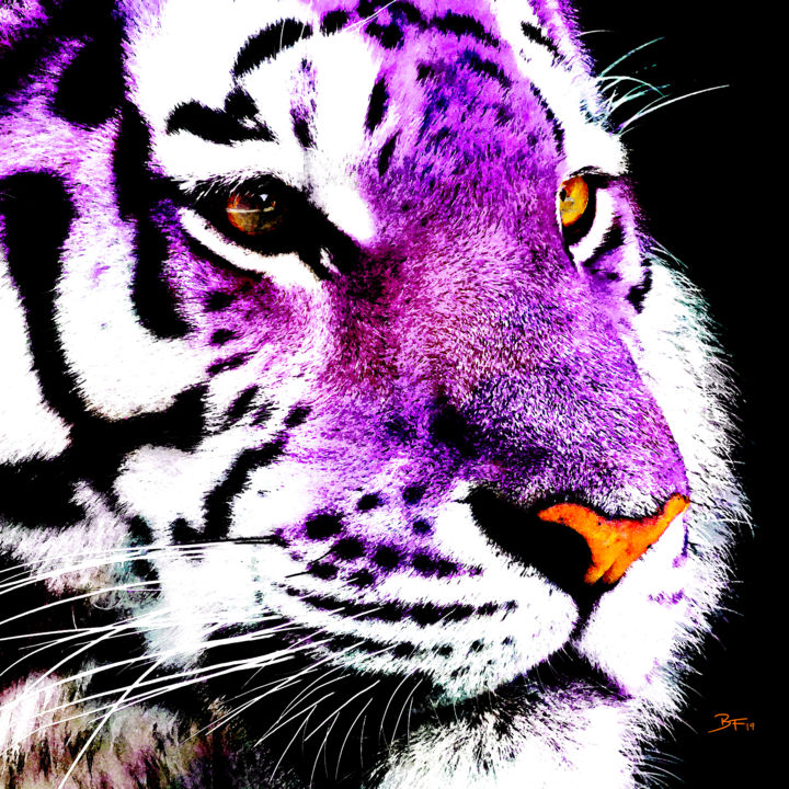 Grafika cyfrowa / sztuka generowana cyfrowo zatytułowany „Noble Tigress Overs…” autorstwa Barry Farley Visual Arts, Oryginal…