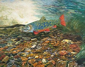 Digital Arts titled "Brook Trout Art Fis…" by Fine Art Prints Fish Flowers Baslee Troutman, Original Artwork, Other