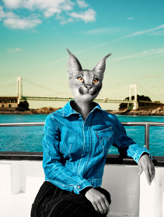 Arts numériques intitulée "Leeloo on the deck" par Bastien Boston, Œuvre d'art originale, Photo montage