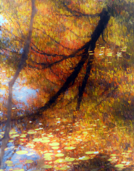 Photography titled "Autumn in New Hamps…" by Bavosi Photoart, Original Artwork, Digital Photography