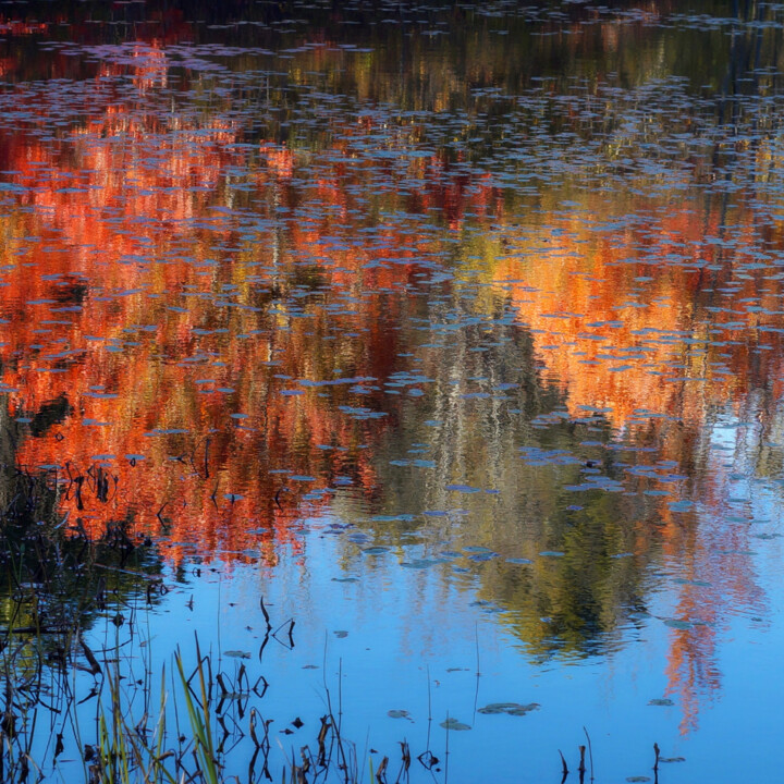 Photographie intitulée "Chesham Pond" par Bavosi Photoart, Œuvre d'art originale, Photographie numérique