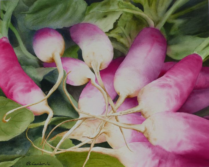 Painting titled "Quelques radis (2)" by Bernard Camborde, Original Artwork, Watercolor