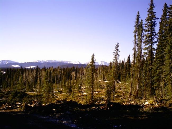 Fotografía titulada "Alberta West Country" por B.Corey, Obra de arte original