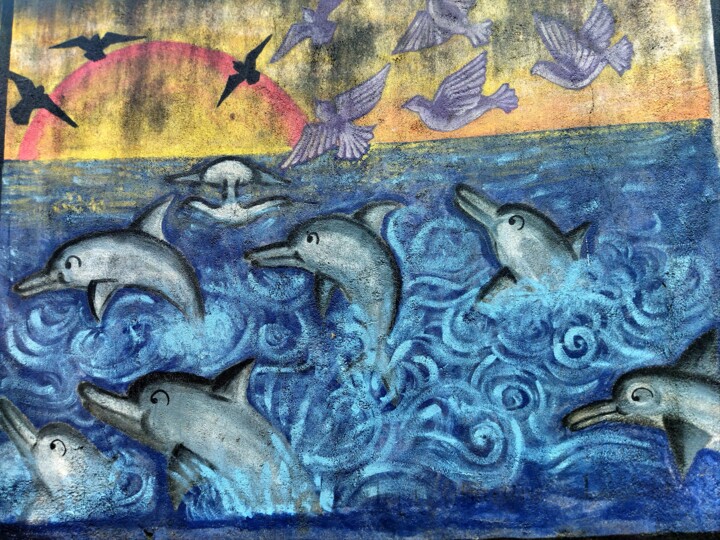 Photographie intitulée "Sri Lanka " Dolphin…" par Benoit Van Canneyt, Œuvre d'art originale, Photographie numérique