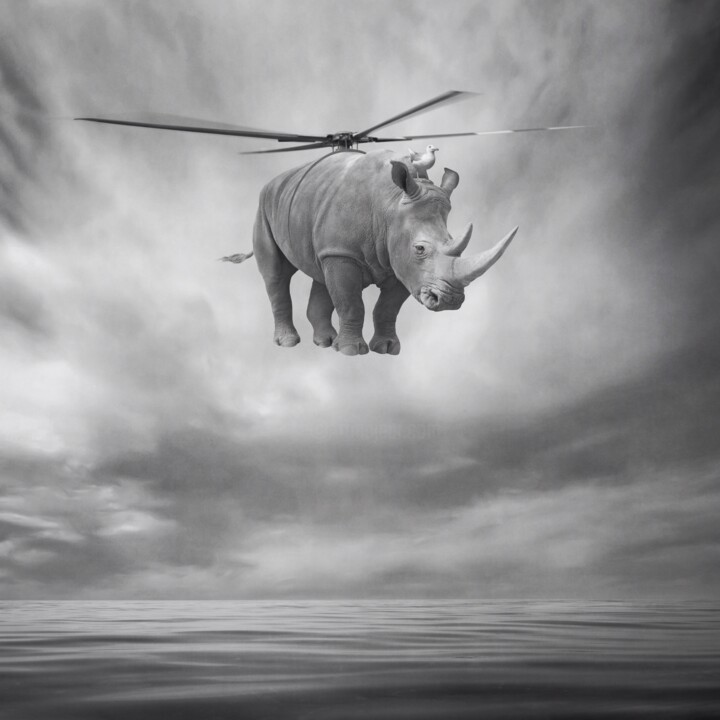 Digitale Kunst mit dem Titel "Rhinocopter" von Beata Bieniak, Original-Kunstwerk, Fotomontage