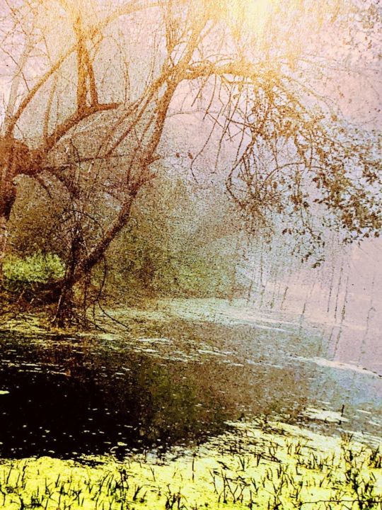 Фотография под названием "Bords de l'eau" - Béatrice Marie Penaud, Подлинное произведение искусства, Цифровая фотография