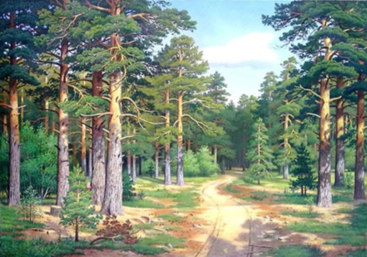 Painting titled "Сосны освещенные со…" by Vladimir Bebiia, Original Artwork, Oil