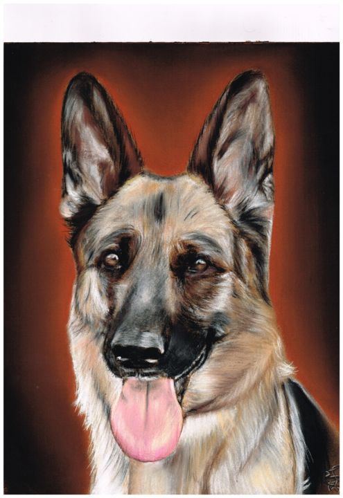 Berger Allemand Pastel Dibujo Por Samos17 Portraitiste