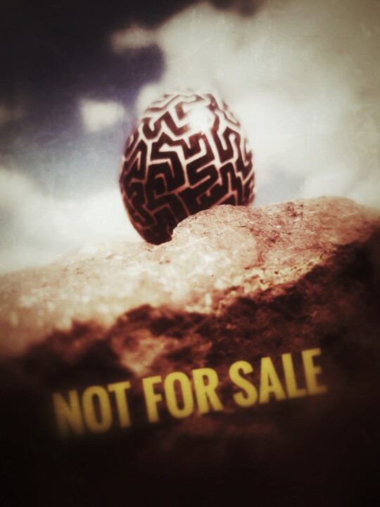 Fotografia intitolato "Not for sale" da Bek Ali (Bekmade), Opera d'arte originale, fotografia a pellicola